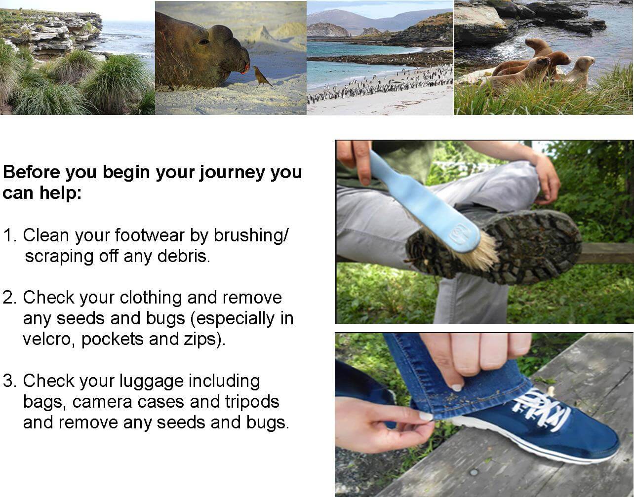 Inter-island travel plane guidelines