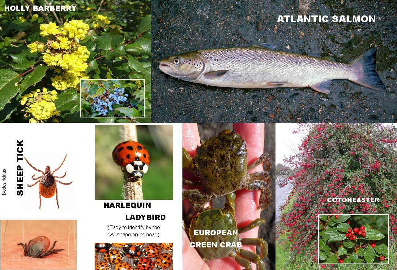 Biosecurity unwanted list